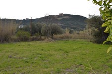 Property 21845 photo 1