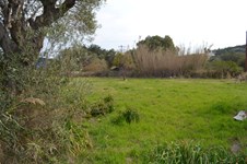 Property 21845 photo 3