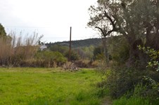 Property 21845 photo 2