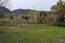 Property 21845 photo 5