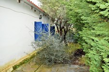 Property 21849 photo 11