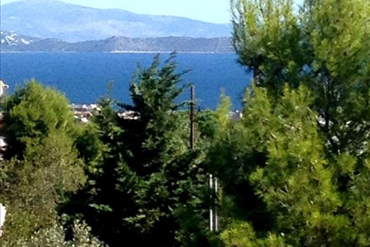 Realty photo 1