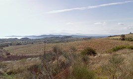Land 11000 m² auf Athos (Chalkidiki)