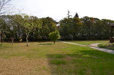 Property 21923 photo 3