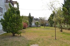 Property 21923 photo 5