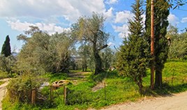 Land 1395 m² auf Korfu