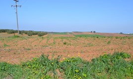 სასტუმრო 4000 m² კასანდრაზე (ქალკიდიკი)
