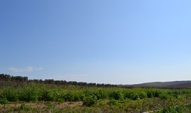 Парцел 5100 m² в Касандра (Халкидики)