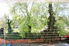 Property 21975 photo 9