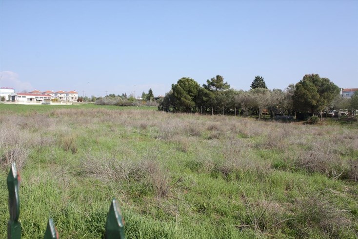 Realty photo 2