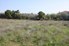 Property 22040 photo 8