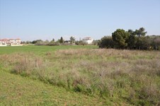 Property 22040 photo 9