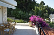 Property 22041 photo 4