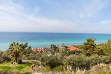 Property 22041 photo 9