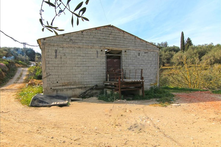 Realty photo 2