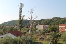 Property 2210 photo 10