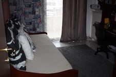 Property 22100 photo 47