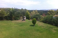 Property 22153 photo 4