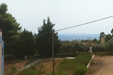 Property 22153 photo 10