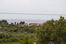 Property 22158 photo 6