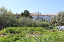 Property 22163 photo 1