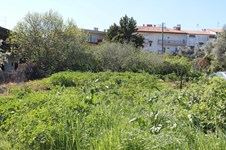 Property 22163 photo 2