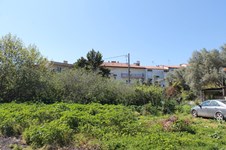 Property 22163 photo 4