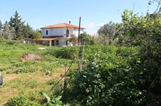 Property 22163 photo 3