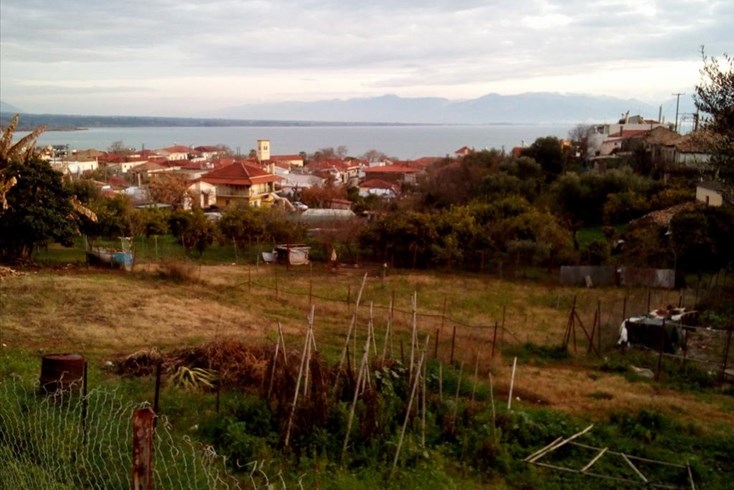 Realty photo 2