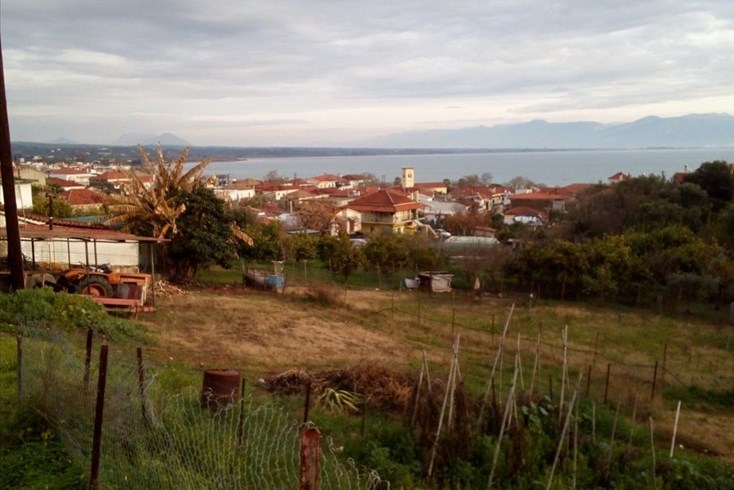 Realty photo 3