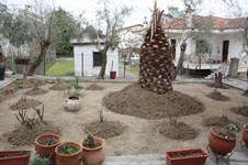 Property 22177 photo 5