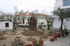 Property 22177 photo 6