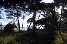 Property 22214 photo 2