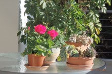 Property 22214 photo 13