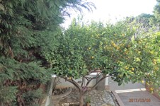 Property 22214 photo 12