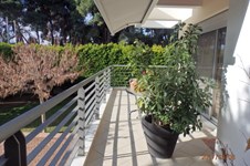 Property 22214 photo 15