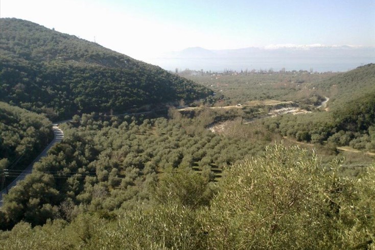 Realty photo 1