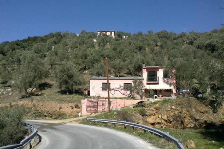 Realty photo 2