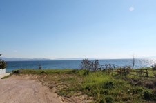 Property 22224 photo 4