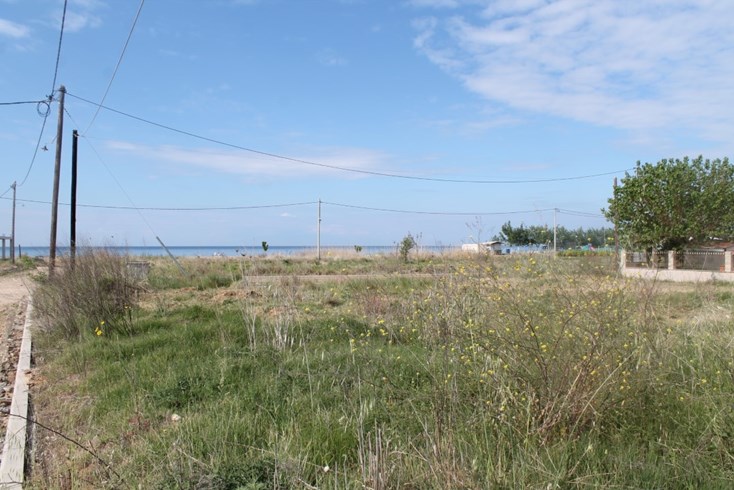 Realty photo 1