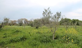 Zemljište 3000 m² na Halkidikiju