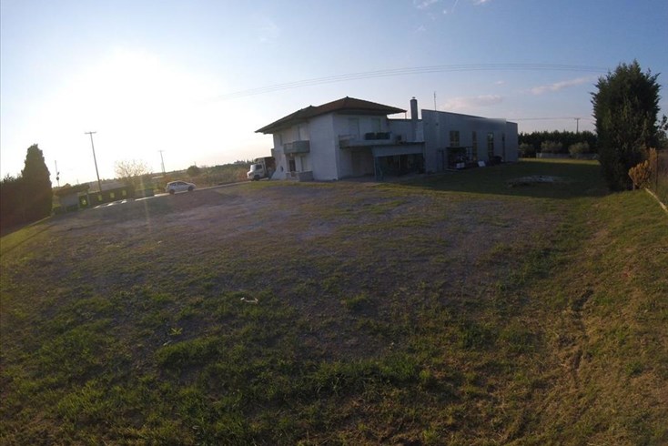 Realty photo 2