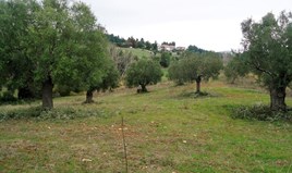 հողատարածք 6932 m² Խալկիդիկի-Կասսանդրայում
