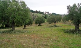 Land 6932 m² in Kassandra, Chalkidiki
