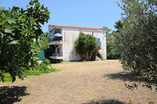 Property 2229 photo 7