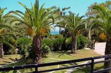 Property 2229 photo 8