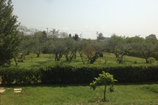Property 22299 photo 3