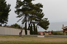Property 223 photo 6