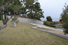 Property 223 photo 4