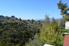 Property 22309 photo 5